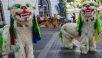インド、バンガロールにご到着